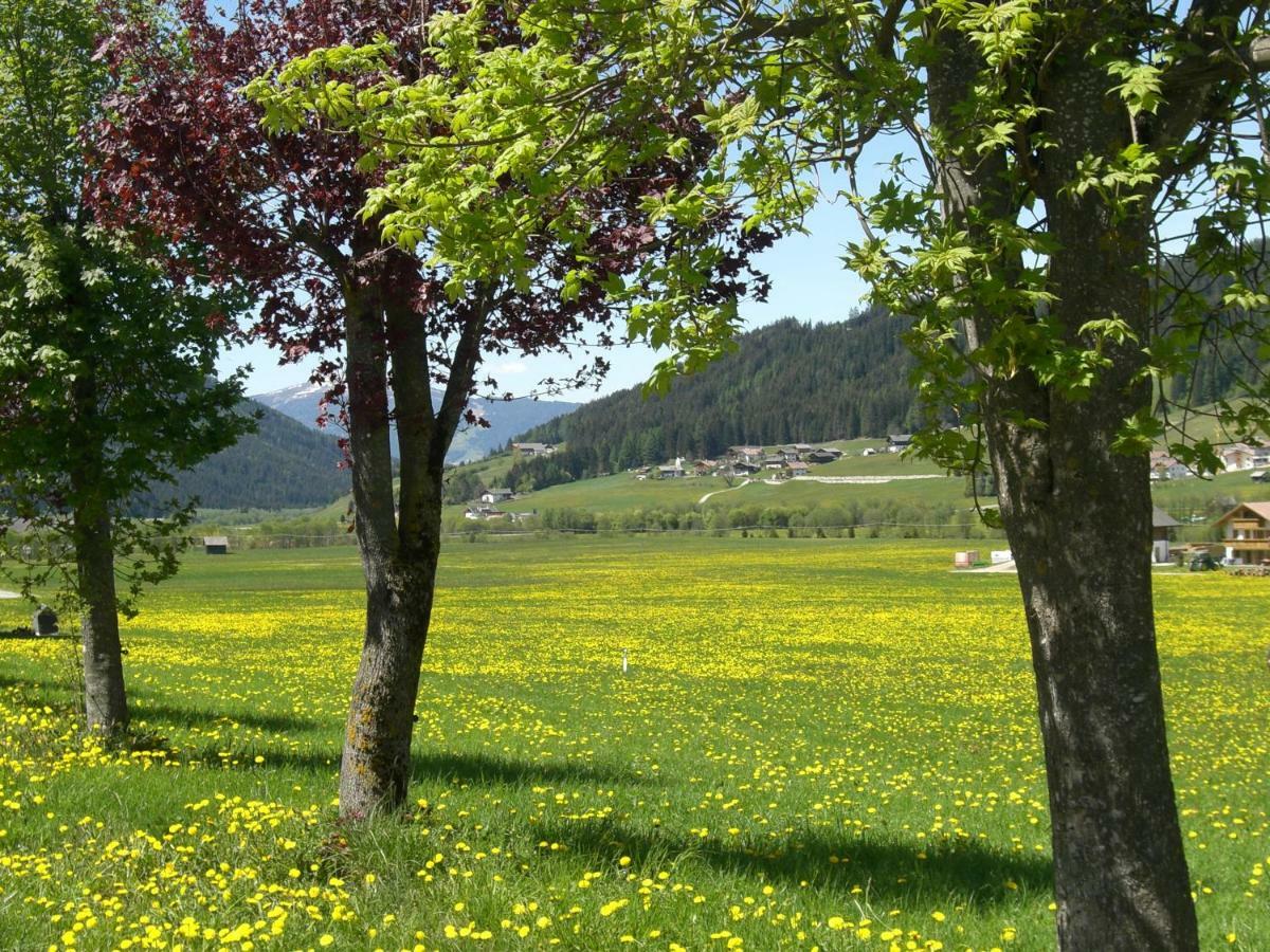 Faltnerhof Planca di Sopra ภายนอก รูปภาพ